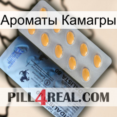 Ароматы Камагры 44